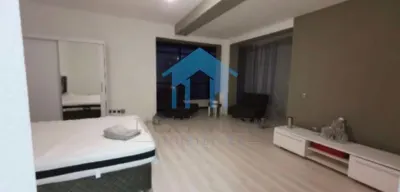 Apartament 1 camera Cluj-Napoca - poza 7