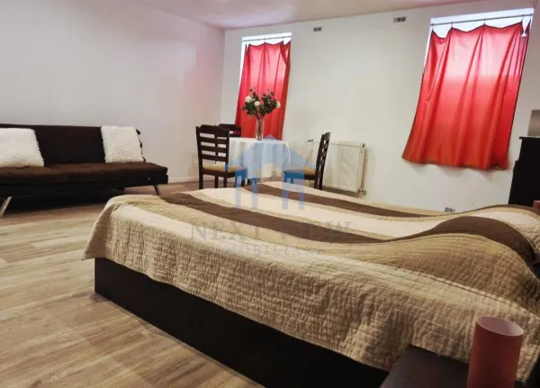 Apartament 1 camera Cluj-Napoca - poza 1
