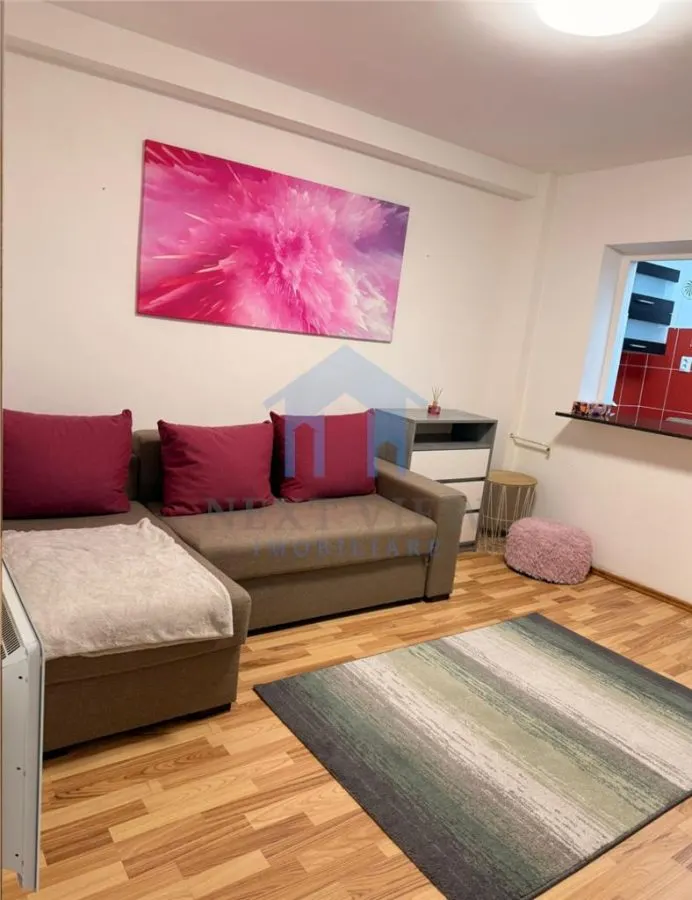 Apartament 1 camera Cluj-Napoca - poza 1