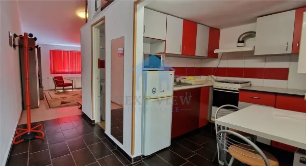 Apartament 1 camera Cluj-Napoca - poza 4