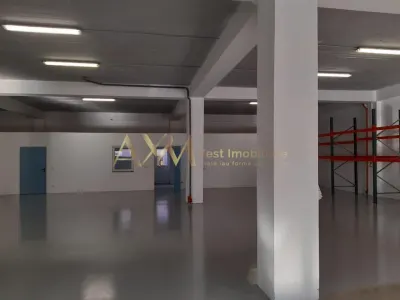 Inchiriere hala industriala Timisoara - Timisoara