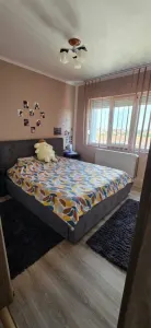 Apartament 3 camere Timișoara - poza 5