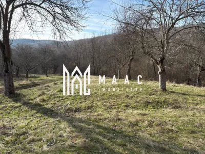 Teren de vânzare, 7750 mp I Orientare sudică I Caineni - Cainenii Mici