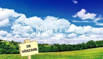 Teren Extravilan | 5000Mp | Șura Mare - Sura Mare
