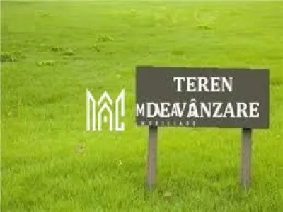 Teren Extravilan | 25.000 Mp | Valea Avrigului - Avrig