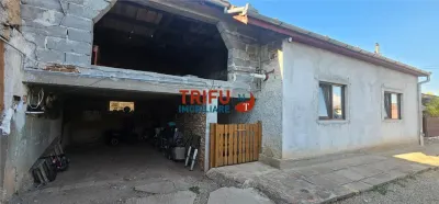 Casă cu teren de 1.000 mp, anexe și livadă – oportunitate în Alba Iulia - Alba Iulia