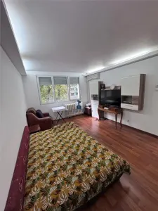 Apartament 2 camere București - poza 2