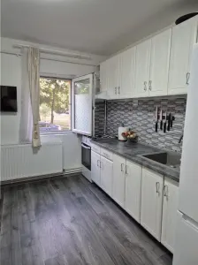 DAMBOVITA - 2 CAMERE - COMPLET RENOVAT - CENTRALA PROPRIE - Timisoara