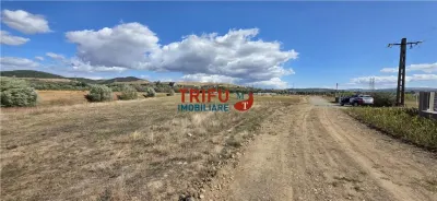 Teren intravilan cu suprafata de 5800 mp pentru investitie - Alba Iulia