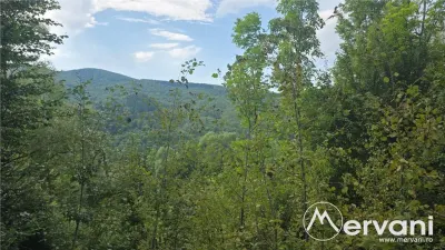 Teren intravilan 3200 mp de vanzare in Valea Doftanei - Valea Doftanei