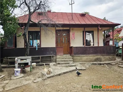 Casa cu 2 camere si 520mp in Letcani - Letcani
