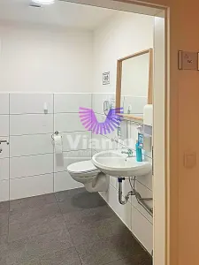 Apartament 8 camere Germania, Gelsenkirchen - poza 10