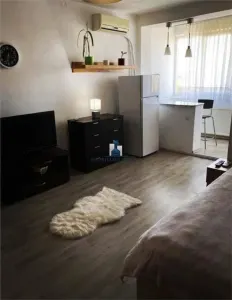 Garsoniera Semidecomandata Aparatorii Patriei PET friendly - Bucuresti