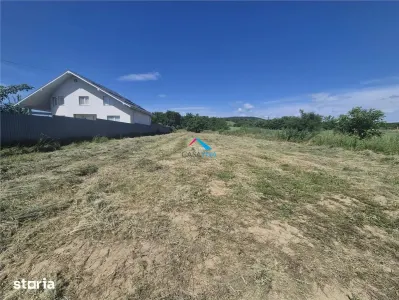 Teren 8000mp de vanzare Crihan Magura - Bacau