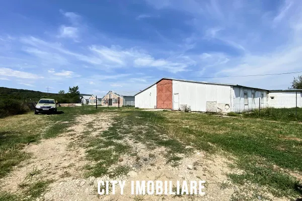 Spațiu industrial Gilău - poza 2