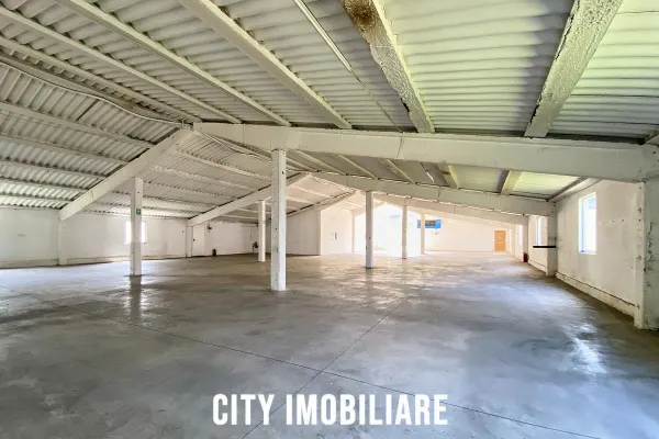 Spațiu industrial Gilău - poza 7