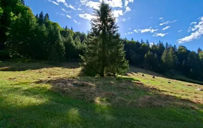 Teren intravilan la munte - Neagra