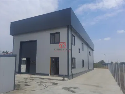 Vanzare depozit/hala/spatiu industrial Domnesti - Centura, Ilfov - Domnesti