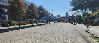 Pietonal Stefan cel Mare, spatiu  la etaj pentru activitati diverse - Iasi