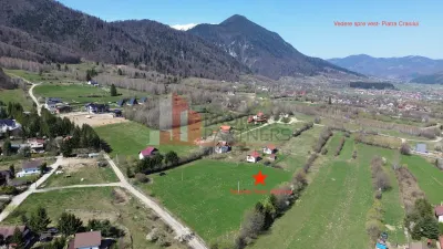 Teren Bran Tohanita | Intravilan 1.379 mp | Vedere Panoramică| - Bran
