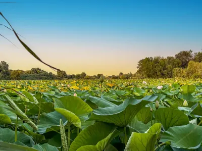 Teren Lacul Snagov 1.976 mp | 19,18 m front la lac | Vilă P+1 | 0% com - Tancabesti