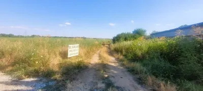 Teren Cernica intravilan 1000 mp - Pantelimon