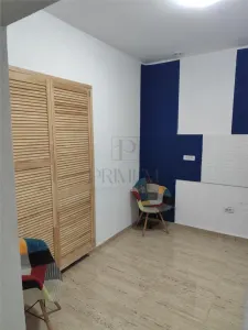 Spatiu comercial - demisol - 3 camere - Timisoara