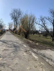 Teren intravilan, situat in zona numita Coasta, loc. Sindresti , com. Dumbravita - Sindresti