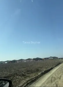 Teren Timiș - poza 1