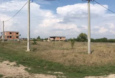 Teren Timiș - poza 9