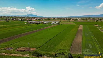 FILM! Teren extravilan 5.000 mp in zona linistita cu acces facil, Bod, Brasov - Bod