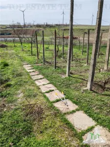 Casă 6 camere Pantelimon - poza 5