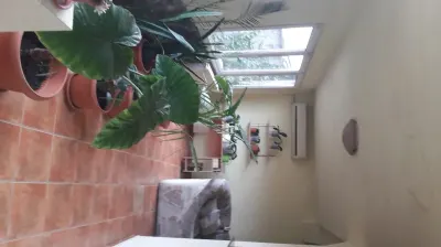 Casă individala cu etaj, având 2 apartamente separate în Timișoara - Timisoara