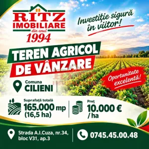 Teren 16,5 HA Cilieni-compact,acces 3 drumuri, acte la zi - Slatina