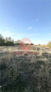 Teren de Vanzare |1000 mp Soseaua Constantei spre Cumpana - Constanta