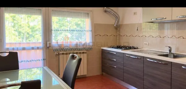Apartament 2 camere Iași - poza 4