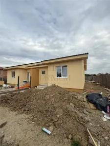 Duplex modern pe parter, cu toate utilitățile – Moșnița Nouă - Mosnita Noua