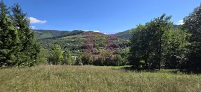 Teren intravilan 1825 mp de vanzare in Valea Doftanei - Valea Doftanei