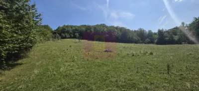 Teren intravilan de vanzare 2500 mp in Banesti - Banesti