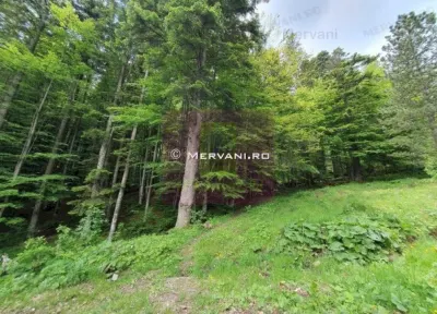 Teren intravilan de vanzare in Sinaia - Zona Furnica - Sinaia