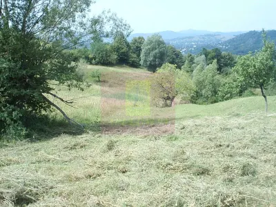 Teren extravilan de vanzare in Telega - Telega