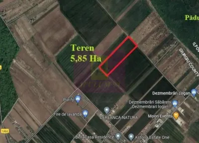 Săbăreni, teren 5,85 ha, intravilan rezidențial, între 2 păduri - Sabareni
