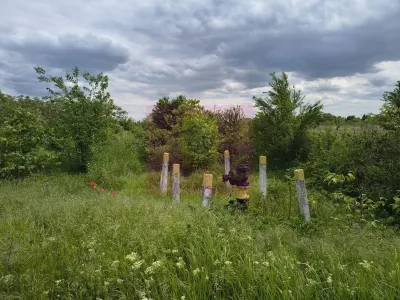 Teren Sectorul 6 - Giulesti Sarbi- Artera Drumul Sabareni - Bucuresti