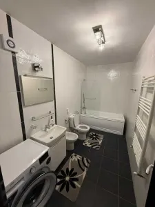 Apartament 2 camere Timișoara - poza 5