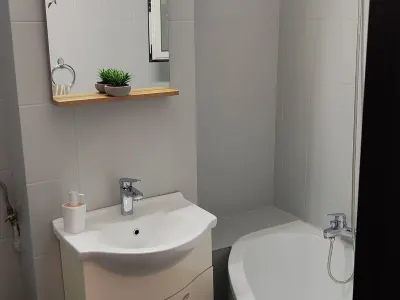 Apartament 2 camere București - poza 5