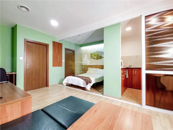 Apartament 1 camera Timișoara - poza 2