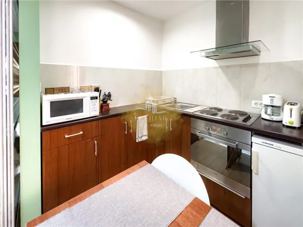 Apartament 1 camera Timișoara - poza 5