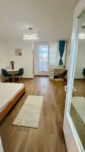 Garsoniera  renovata recent,  balcon  Astra - Brasov