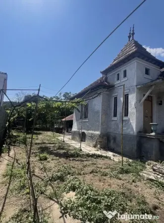 Teren Baciu - poza 2