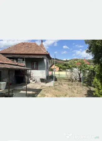 Teren Baciu - poza 3